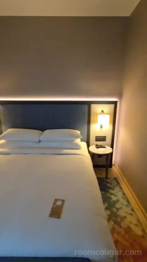 Superior Larger Guest Room, 1 King (#708) bed picture #6