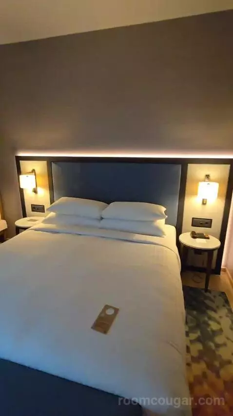 Superior Larger Guest Room, 1 King (#708) bed picture #8