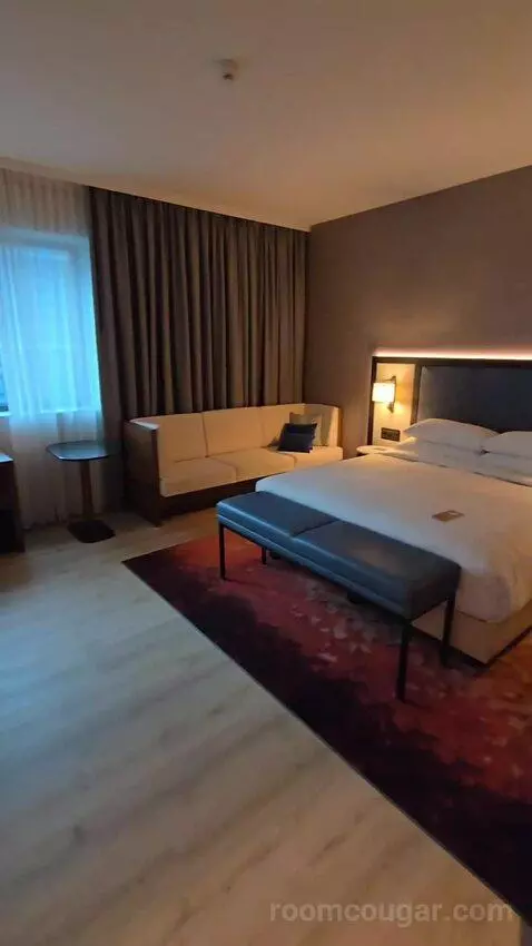 Superior Larger Guest Room, 1 King (#708) bed picture #9