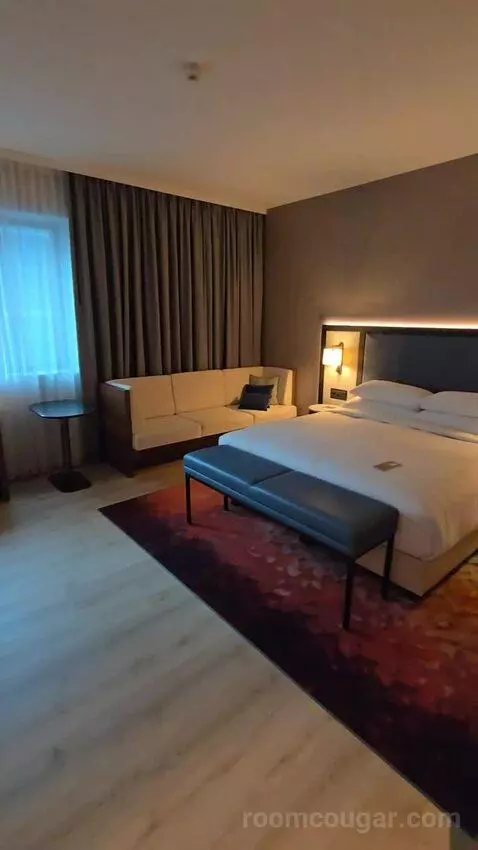 Superior Larger Guest Room, 1 King (#708) bed picture #10