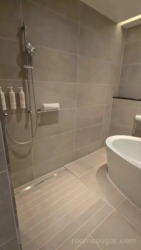 Sky View Terrace Suite, Signature Suite, 1 King (#1021) bathroom picture #7