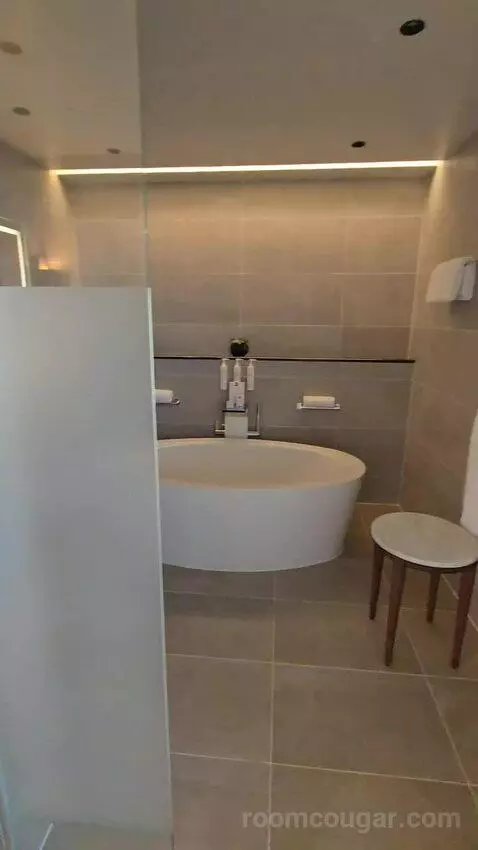 Presidential Suite, 1 King (#1121) bathroom picture #4
