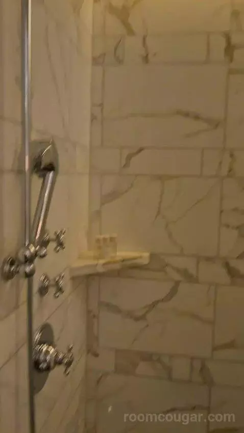 Superior King (#344) bathroom picture #3