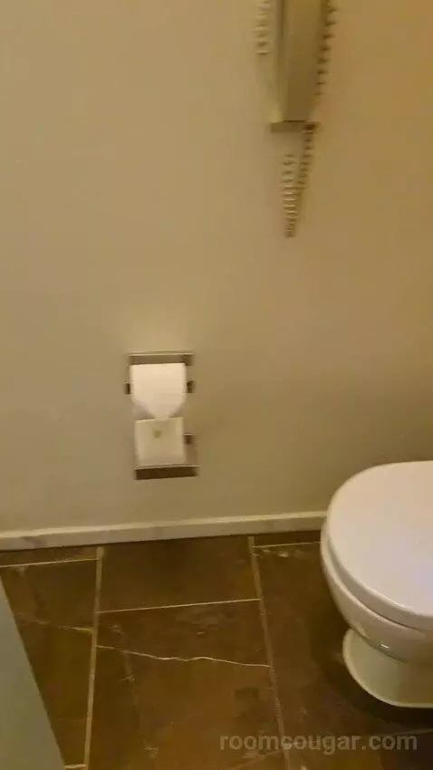 Superior King (#344) bathroom picture #4