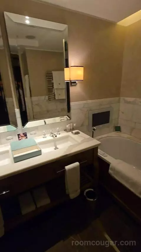 Superior King (#344) bathroom picture #6