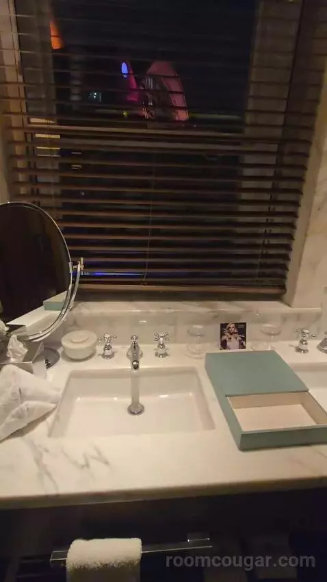 River Suite (#339) bathroom picture #9