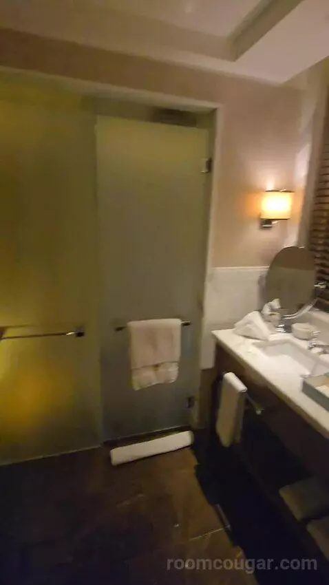 River Suite (#339) bathroom picture #1