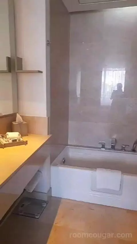 King Studio Suite - Concierge Lounge Access (#507) bathroom picture #5