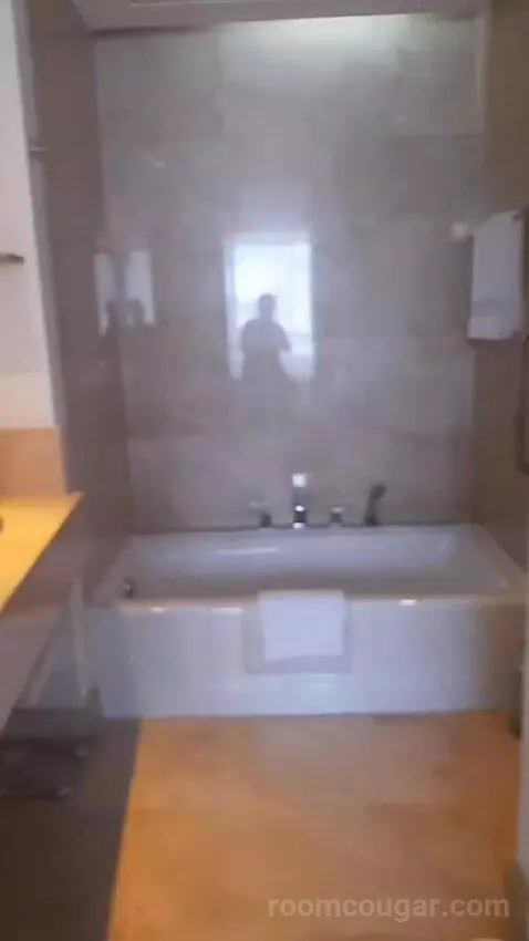 King Studio Suite - Concierge Lounge Access (#507) bathroom picture #6