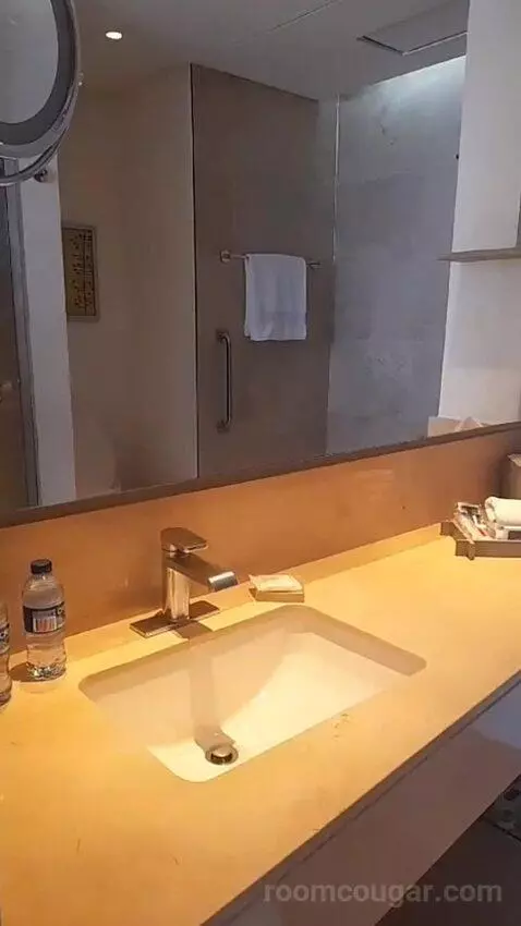 King Studio Suite - Concierge Lounge Access (#507) bathroom picture #2