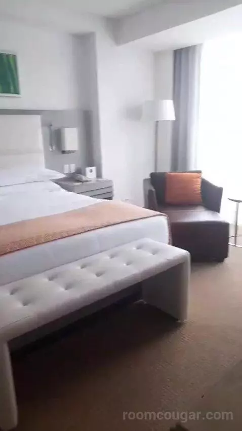 King Suite (#528) bed picture #4
