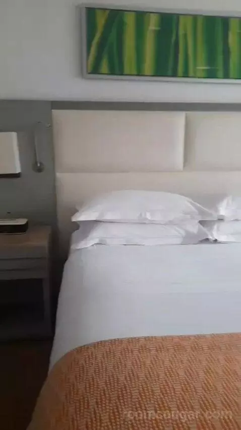King Suite (#528) bed picture #6