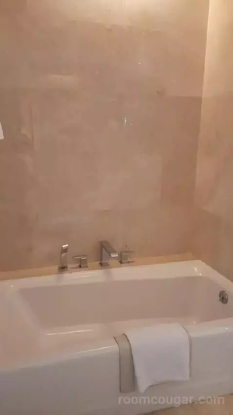 King Suite (#528) bathroom picture #5