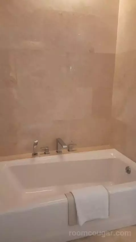 King Suite (#528) bathroom picture #6