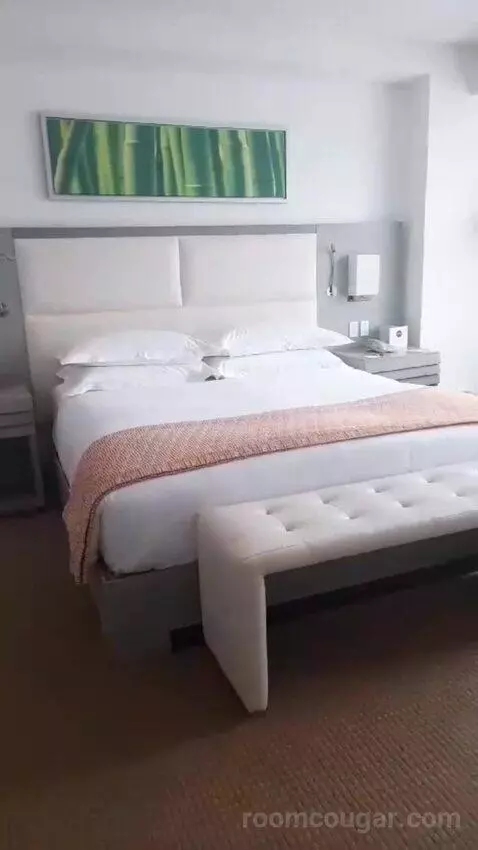 King Suite (#528) bed picture #2