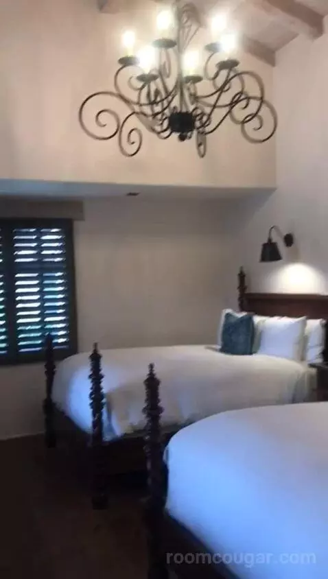 Two Queen Olive Grove Suite (#102) bed picture #8