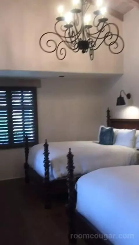 Two Queen Olive Grove Suite (#102) bed picture #9