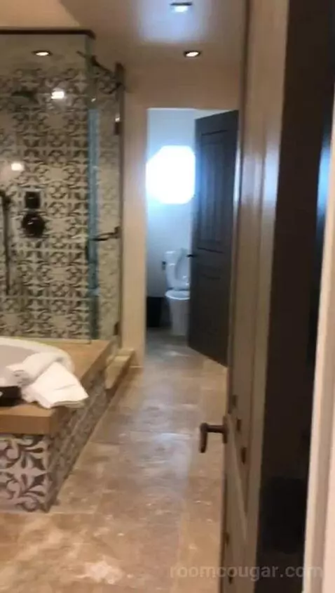 Agave Studio King (#101) bathroom picture #1