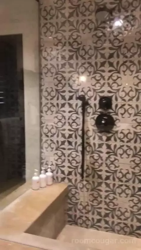 Agave Studio King (#101) bathroom picture #6