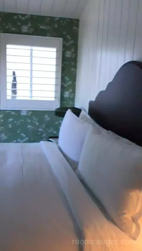 Cottage (Villa 101) bed picture #3