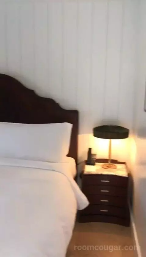 Premier King (#110) bed picture #1