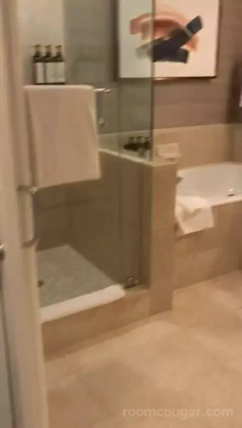 King Room with Terrace (#308) bathroom picture #1