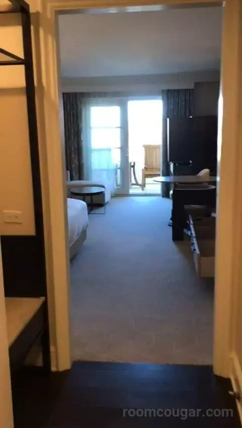 King Room with Pool View (#309) picture #2