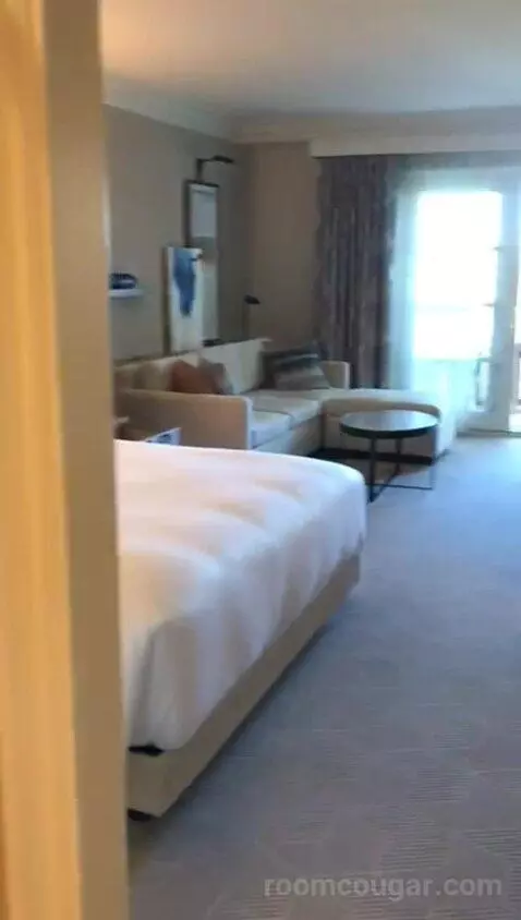 King Room with Pool View (#309) picture #3