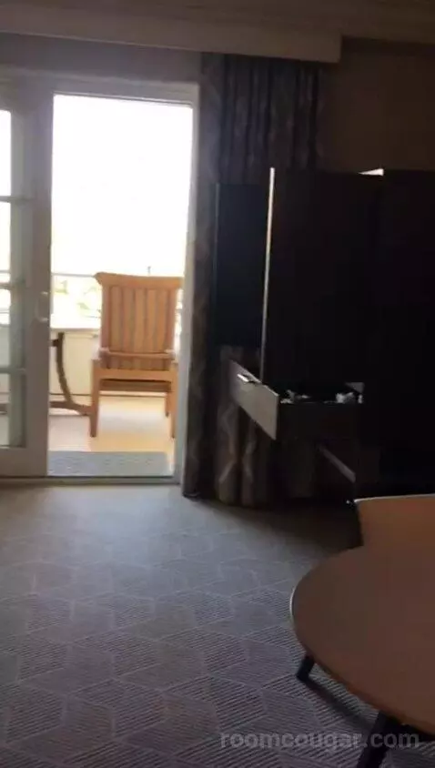 King Room with Pool View (#309) picture #6