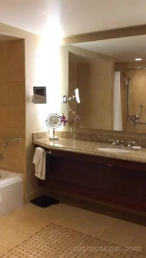 Accessible Signature Queens (#513) bathroom picture #2