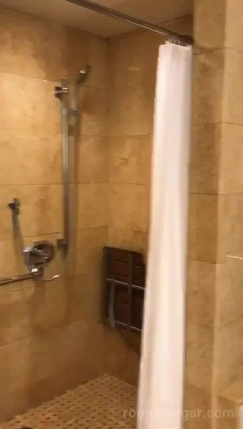 Accessible Signature Queens (#513) bathroom picture #6