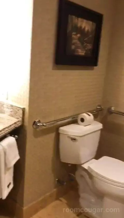 Accessible Signature Queens (#513) bathroom picture #9