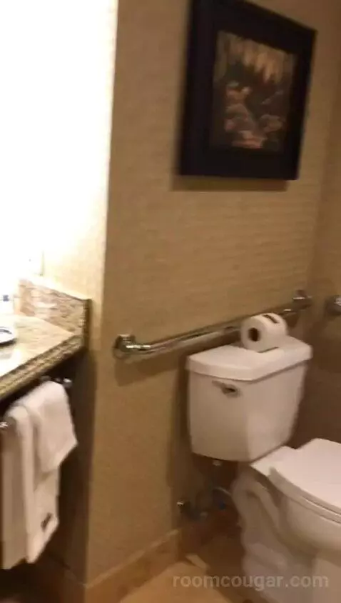Accessible Signature Queens (#513) bathroom picture #10