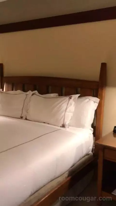 Signature King (#456) bed picture #10