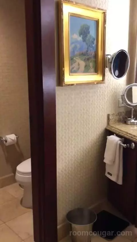 Signature King (#456) bathroom picture #2