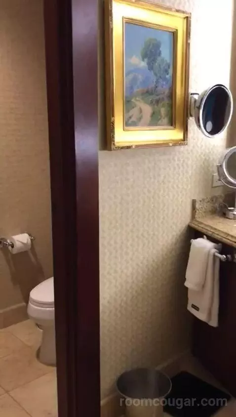 Signature King (#456) bathroom picture #3