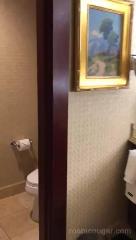 Signature King (#456) bathroom picture #6
