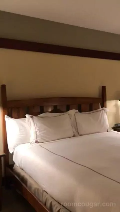 Signature King (#456) bed picture #5
