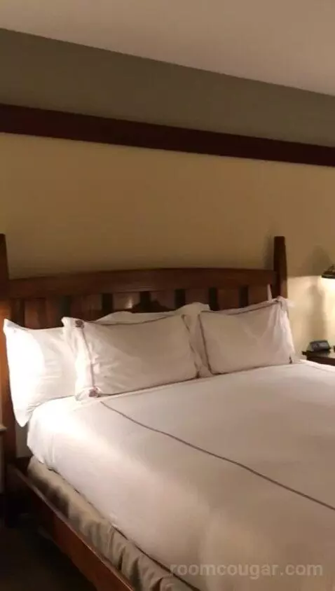 Signature King (#456) bed picture #6