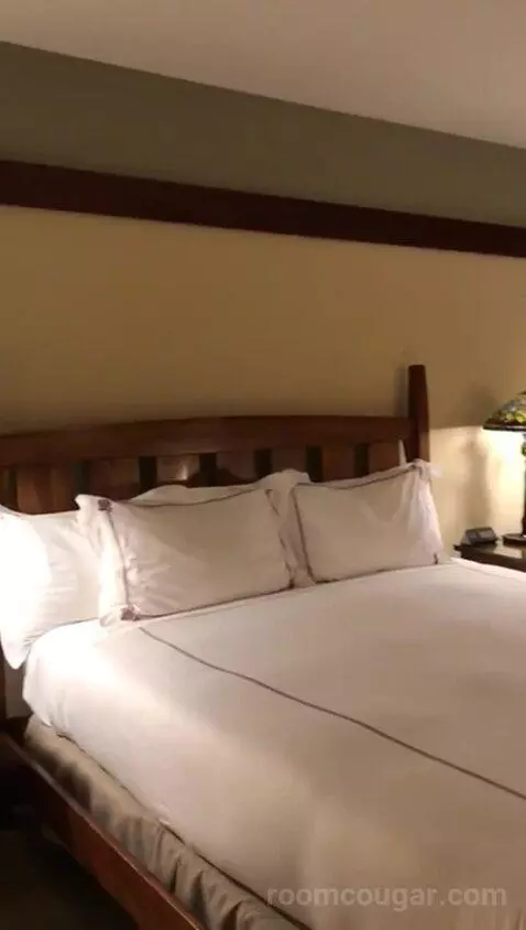 Signature King (#456) bed picture #7