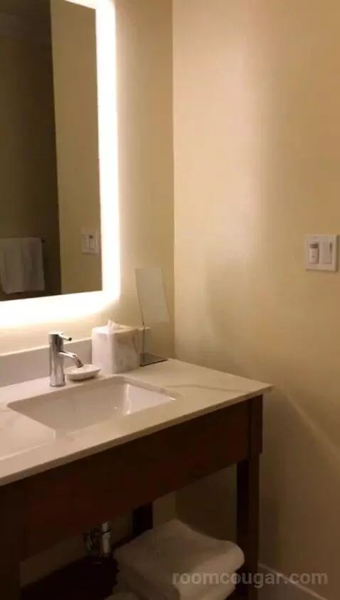 Colonial King (#311) bathroom picture #1