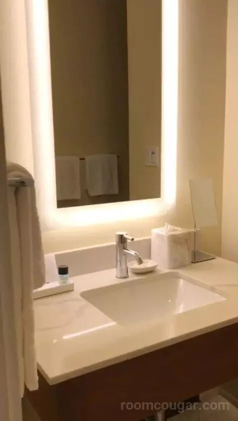 Colonial King (#311) bathroom picture #2