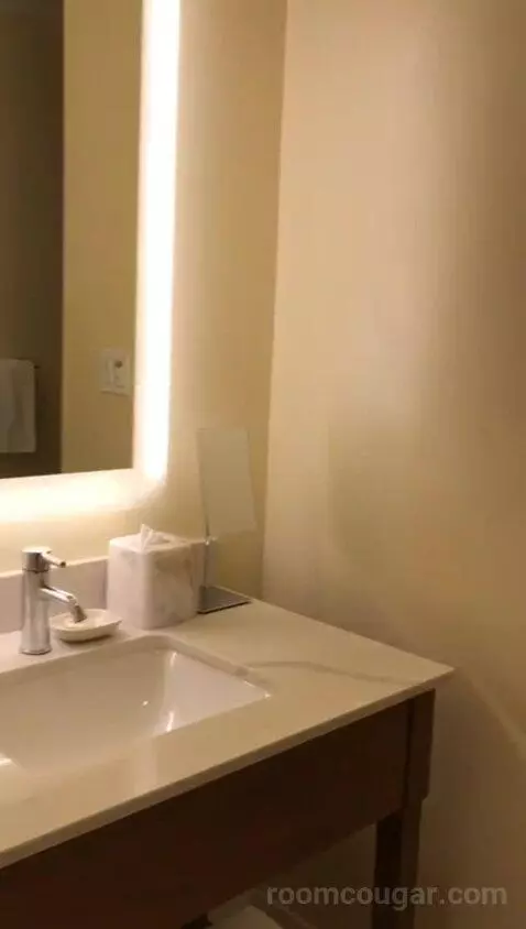 Colonial King (#311) bathroom picture #3