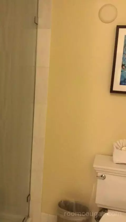 Colonial King (#311) bathroom picture #4