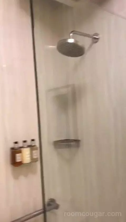 Colonial King (#311) bathroom picture #5