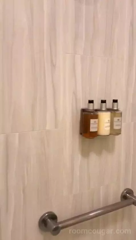 Colonial King (#311) bathroom picture #6