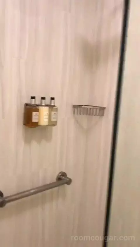 Colonial King (#311) bathroom picture #7