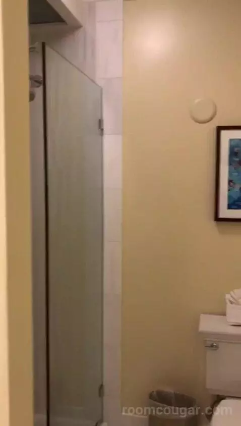 Colonial King (#311) bathroom picture #8