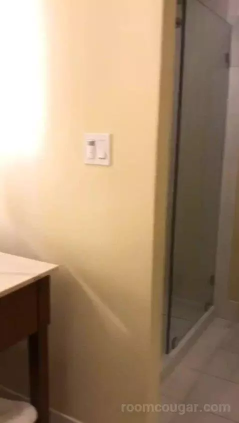 Colonial King (#311) bathroom picture #9