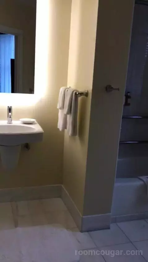 Accessible King with Bathtub (#309) bathroom picture #1